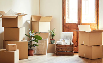 Packers and Movers Services